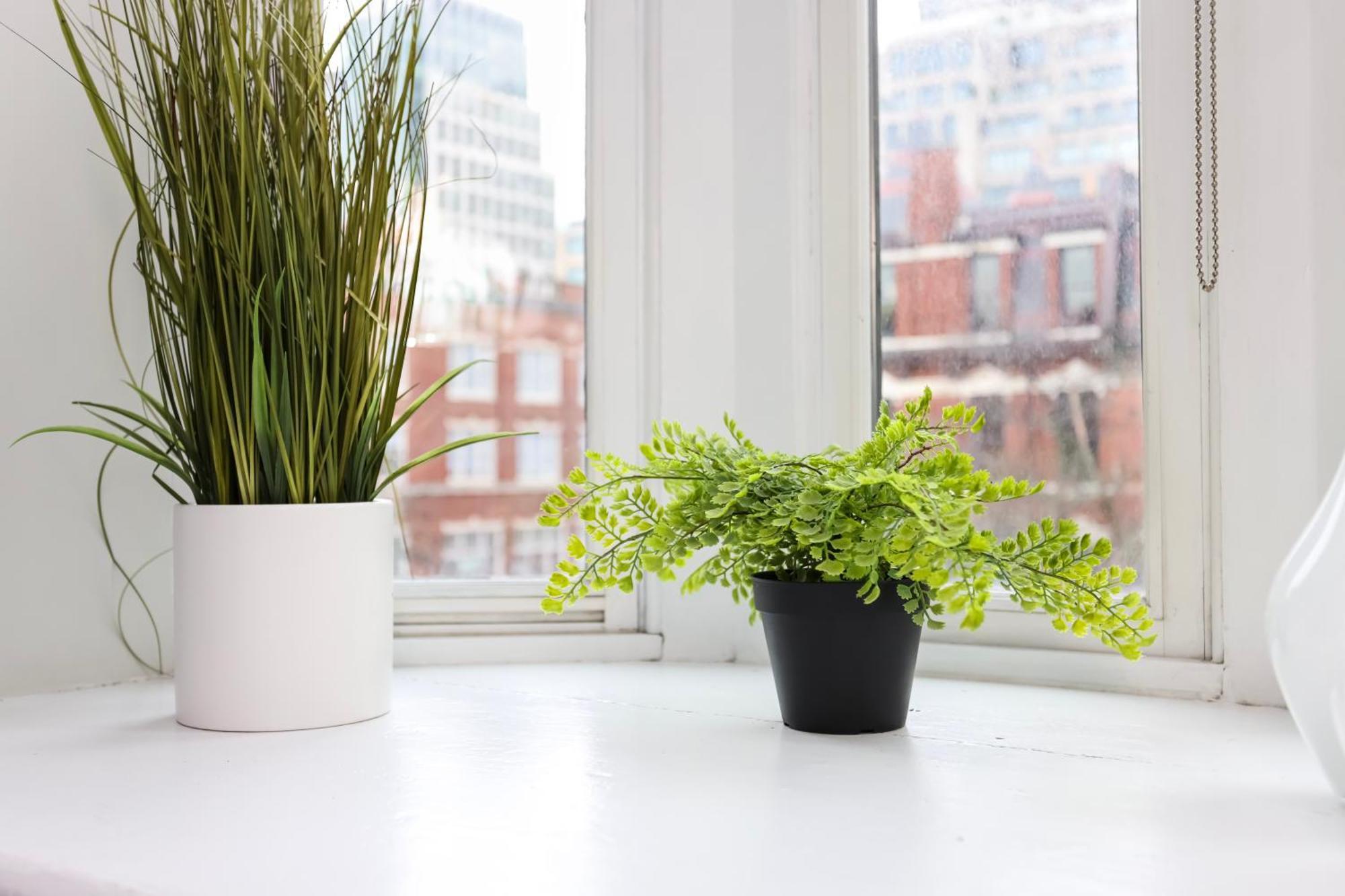 Stylish Studio On Newbury St #3 Boston Ngoại thất bức ảnh
